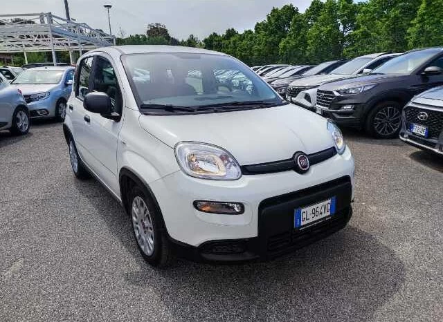 Fiat Panda 1.0 hybrid s&s 70cv full