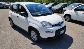 Fiat Panda 1.0 firefly hybrid s&s 70cv full