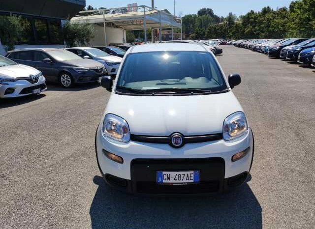 Fiat Panda 1.0 firefly hybrid s&s 70cv full