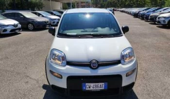 Fiat Panda 1.0 firefly hybrid s&s 70cv full