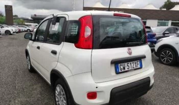 Fiat Panda 1.0 firefly hybrid s&s 70cv 5p.ti full